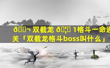 🐬 双截龙 🦊 1格斗一命通关「双截龙格斗boss叫什么」
